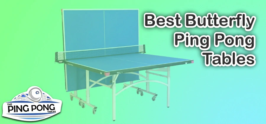 Best Butterfly Ping Pong Tables